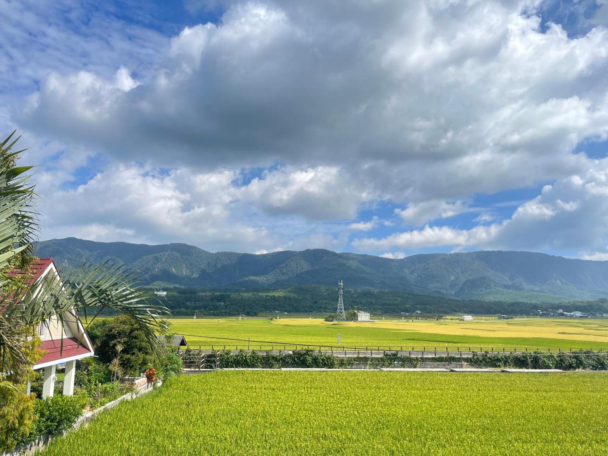 Holiday Homestay Chishang Buitenkant foto