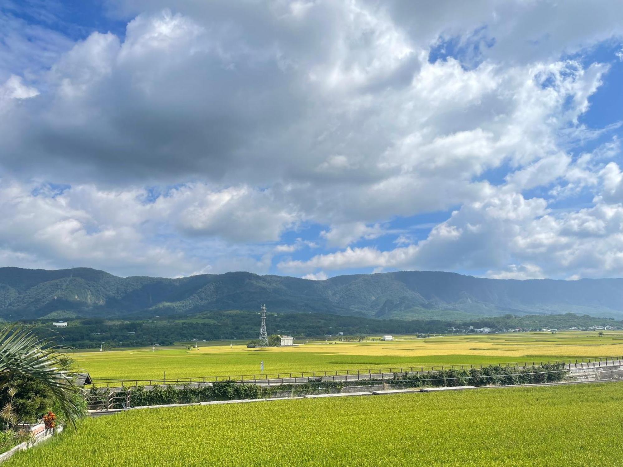Holiday Homestay Chishang Buitenkant foto